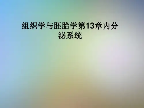 组织学与胚胎学第13章内分泌系统