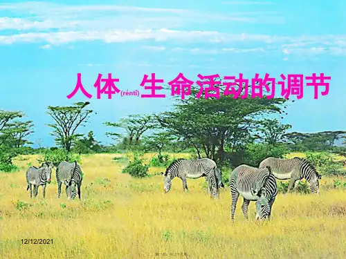七年级生物下册第六章人体生命活动的调解复习