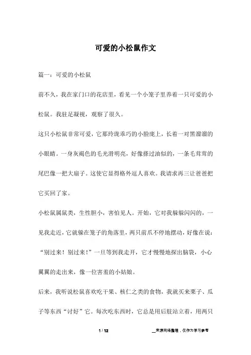 可爱的小松鼠作文