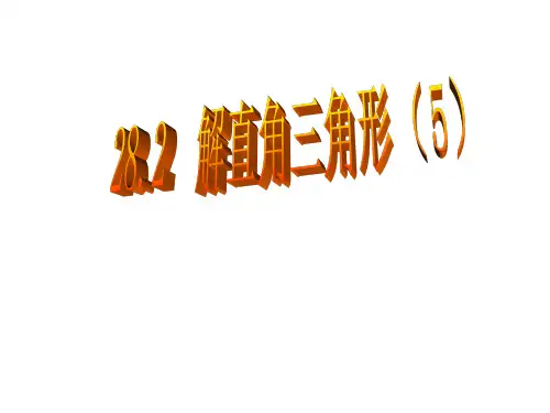 282解直角三角形(5)