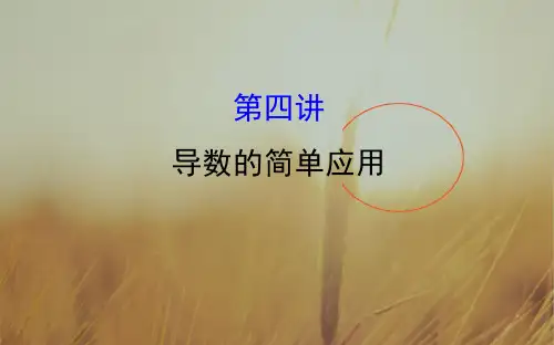 2018届高三数学文二轮新课标专题复习课件:1.2.4导数的简单应用 精品