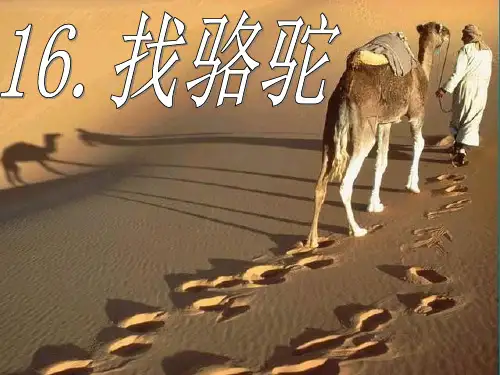 16、找骆驼精品PPT课件