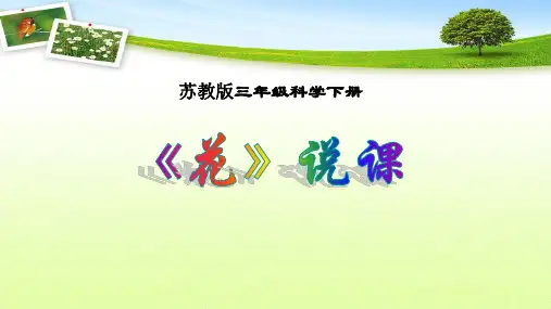 三年级下册科学说课课件-2.3叶和花    ｜苏教版 (共17张PPT)