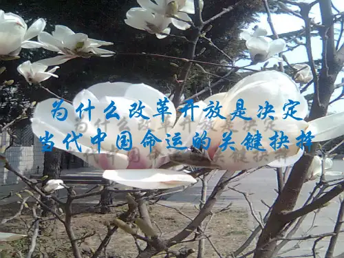 为什么改革开放是决定_当代中国命运的关键抉择