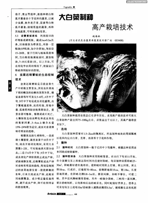 大白菜制种高产栽培技术