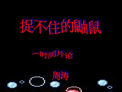 捉不住的鼬鼠(实用)ppt课件