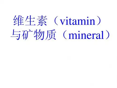 第1-5、6维生素与矿物质
