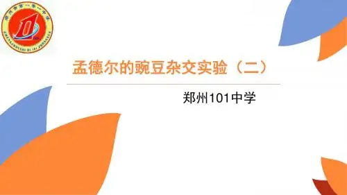 1.2孟德尔的豌豆杂交实验(二)