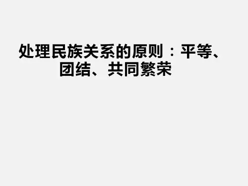 高一政治 处理民族关系的原则