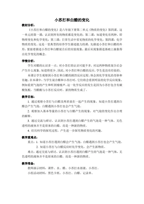 小苏打和白醋的变化 3