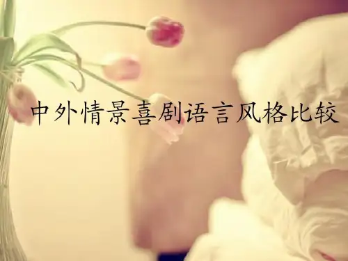 中美情景喜剧语言风格比较17页PPT