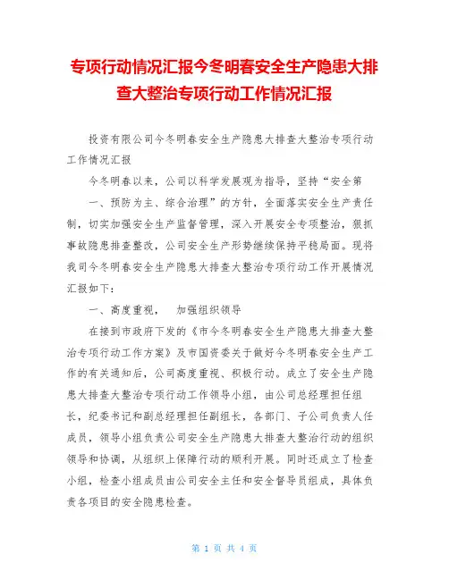 专项行动情况汇报今冬明春安全生产隐患大排查大整治专项行动工作情况汇报