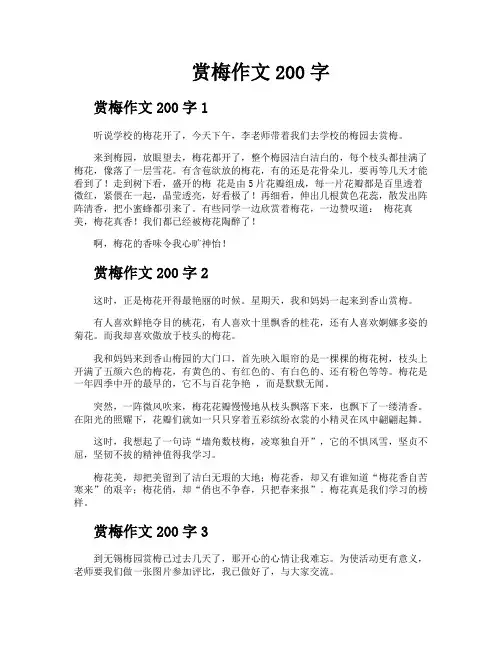 赏梅作文200字