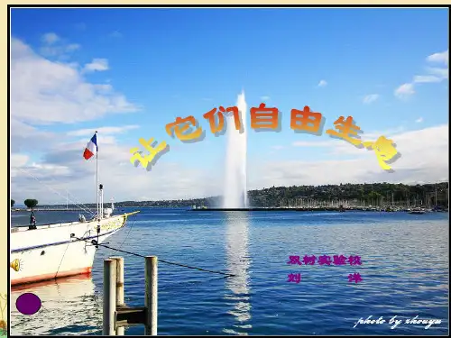 让它们自由生息 ppt(语文课件)s版四年级上册