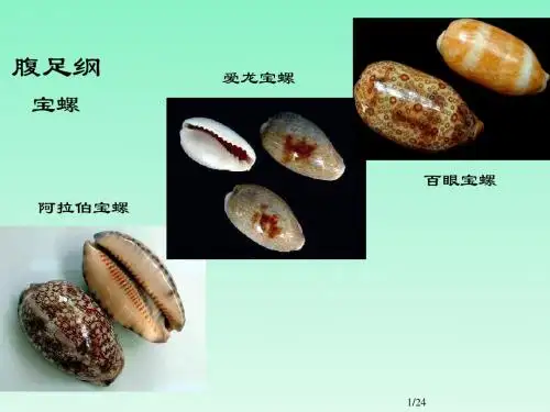 生物:5.1.3软体动物和节肢动物 学案(人教八年级上2013秋季版)