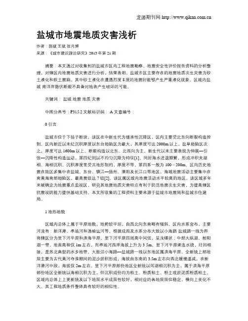 盐城市地震地质灾害浅析