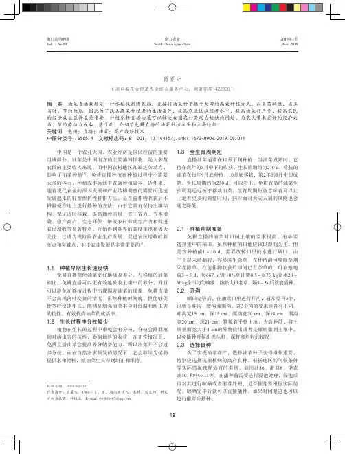 免耕直播油菜高产栽培技术探讨