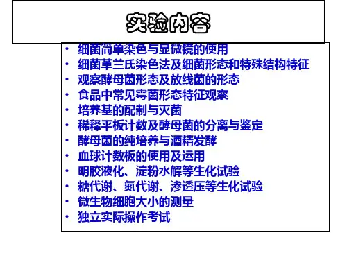 实验一 显微镜使用和简单染色1_PPT课件