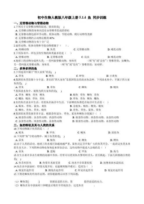 初中生物人教版八年级上册5.1.4 鱼 同步训练(含答案)