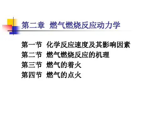 燃气燃烧反应动力学