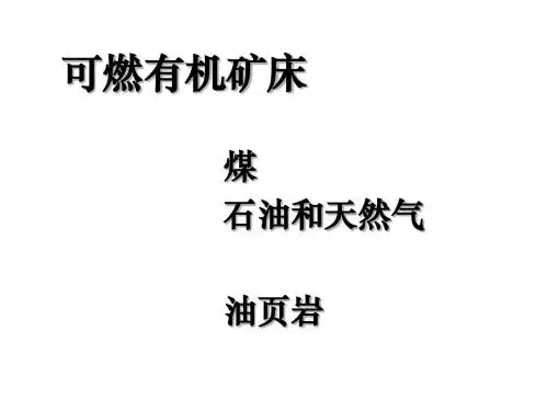 7-可燃有机矿床