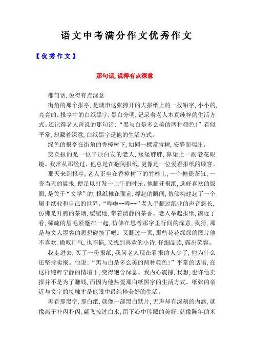 语文中考优秀作文集锦