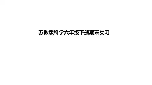 六年级下册科学课件       毕业自我检测题     苏教版