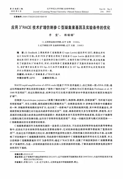 应用3’RACE技术扩增仿刺参C型凝集素基因及实验条件的优化