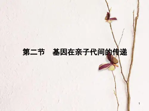 八年级生物下册 7.2.2 基因在亲子代间的传递课件 (新版)新人教版.pptx