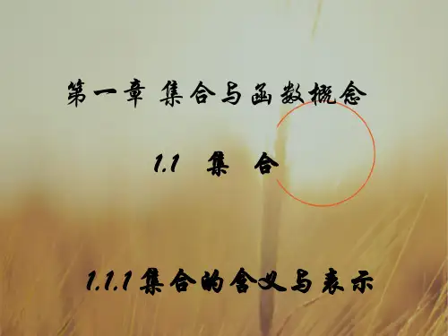 2018浙江专用课件 必修一 第一章 集合与函数概念1.1.1集合的含义与表示 精品