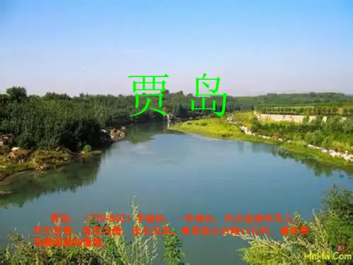 贾岛