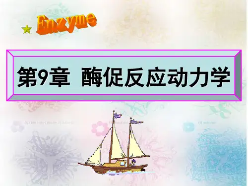 第9章 酶促反应动力学