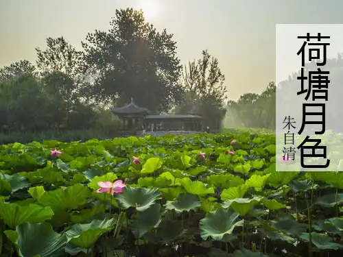 荷塘月色朱自清
