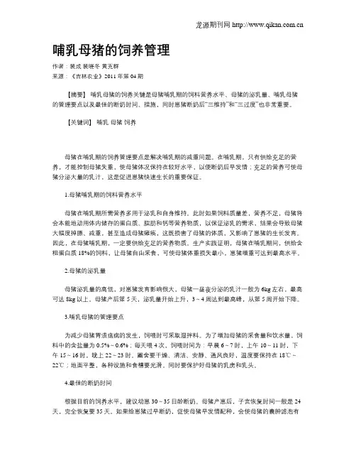 哺乳母猪的饲养管理