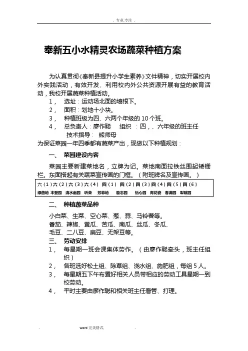 蔬菜园蔬菜种植方案