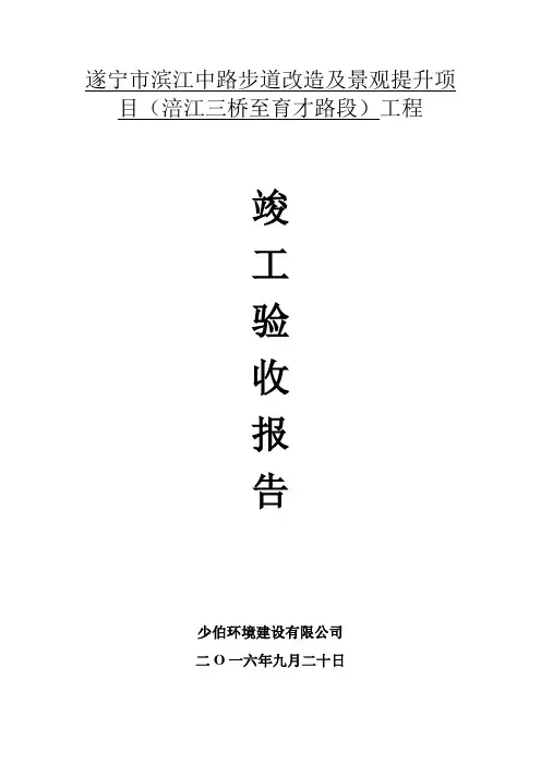 环境整治竣工验收报告