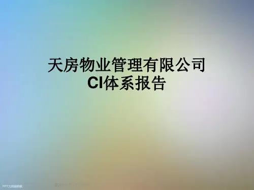 天房物业管理有限公司CI体系报告