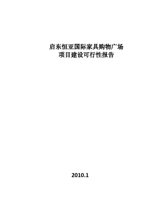 项目可行性报告