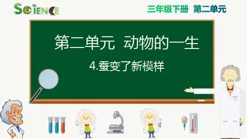 最新科教版小学三年级科学下册《蚕变了新模样》精品课件