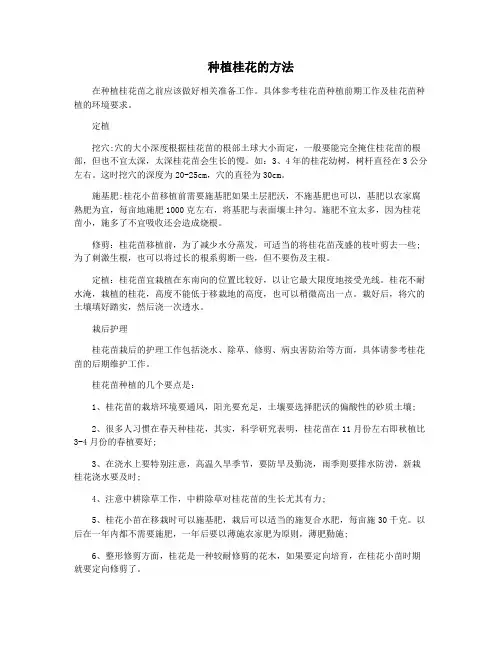种植桂花的方法