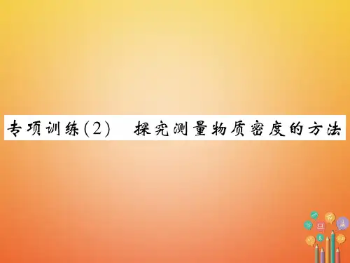 中考物理第一轮 考点系统复习 专项训练 探究测量物质密度的方法课件