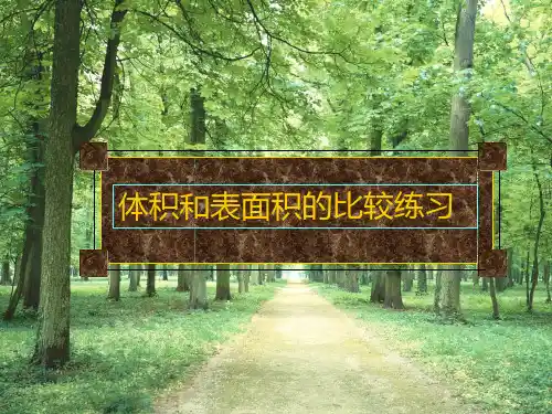 人教版五年级下册数学 体积和表面积比较练习PPT课件