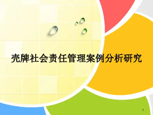 壳牌CSR报告-Insightpr(20120810)
