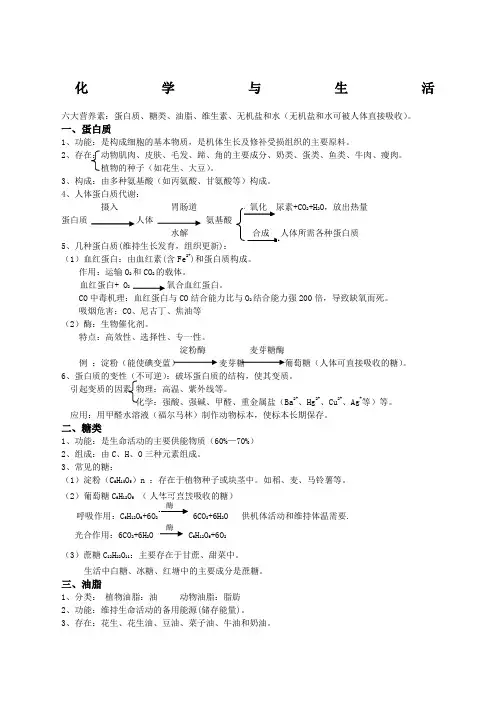 初三化学化学与生活