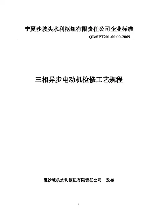 200910电动机检修规程9