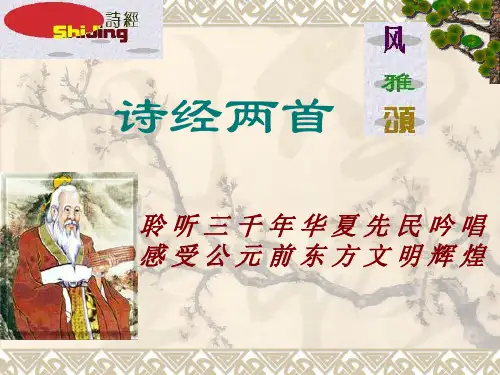 《诗经》三首.ppt