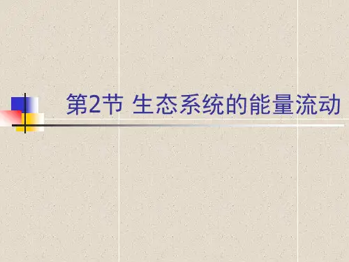 优质课 人教版生物必修3第五章第2节 生态系统的能量流动