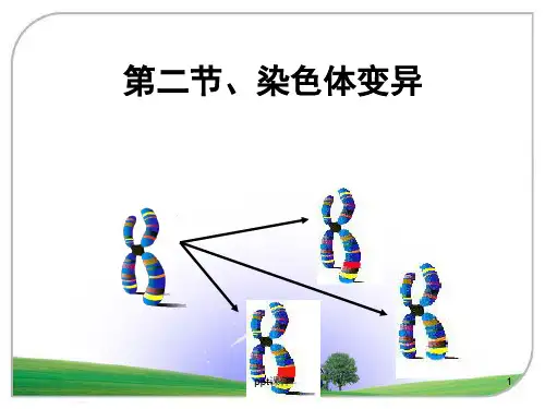 染色体变异(获奖课件)  优质课  ppt课件