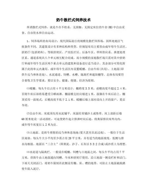 奶牛散栏式饲养技术