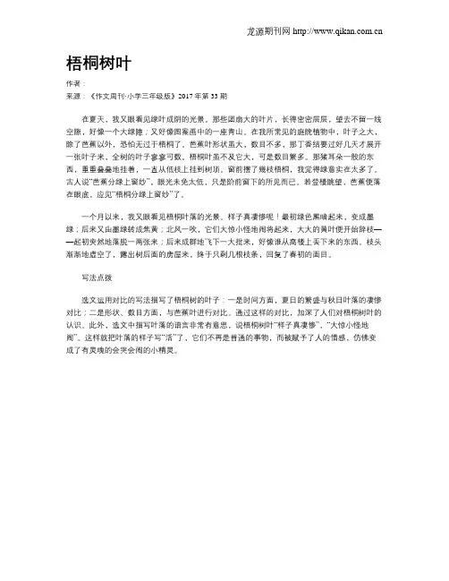 梧桐树叶